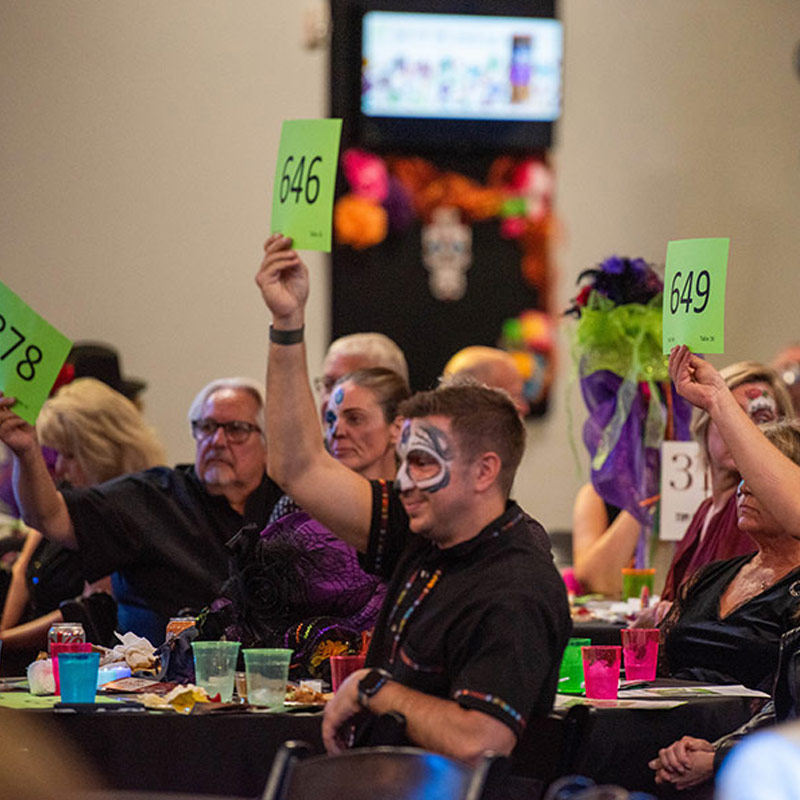 Day of the Dead Silent Auction